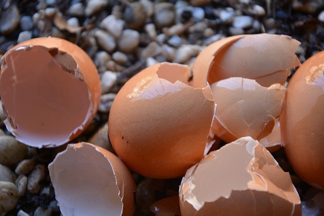 Így készíts otthon tojáshéjból házi kalcium pótlást!